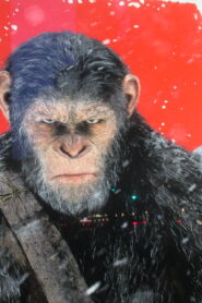 ‘Kingdom Of The Planet Of The Apes’ Release Moved Up Two Weeks To May 10 by 20th Century Studios